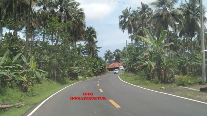 Lambaian pohon kelapa memanjakan mata saat melintasi Ruas Jalan Tegalbuleud – Sindangbarang – Cidaun yang baru selesai diaspal. (Foto: InfoInfrastruktur.com)